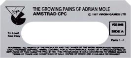 Top of cartridge artwork for Growing Pains of Adrian Mole on the Amstrad CPC.
