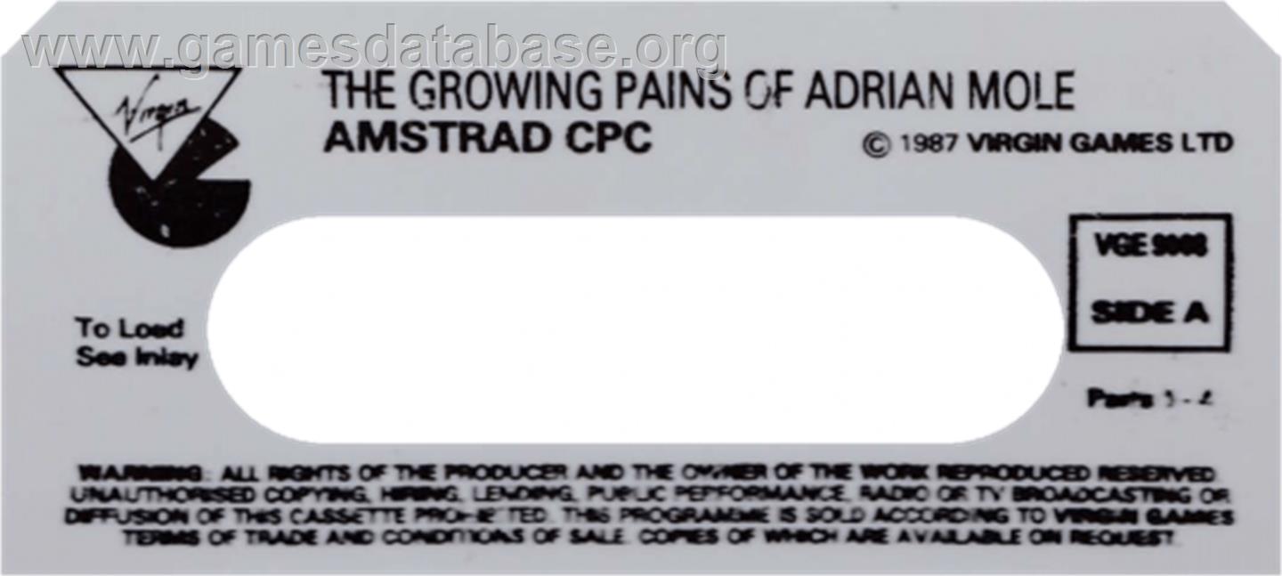 Growing Pains of Adrian Mole - Amstrad CPC - Artwork - Cartridge Top