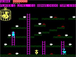In game image of Chuckie Egg on the Amstrad CPC.