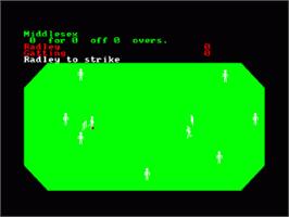 In game image of Cricket Captain on the Amstrad CPC.