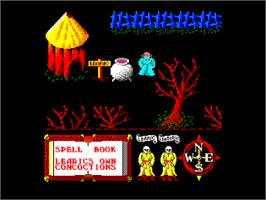 In game image of Feud on the Amstrad CPC.