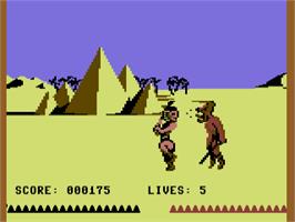 In game image of Fighting Warrior on the Amstrad CPC.