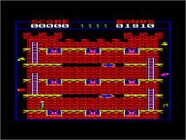 In game image of Final Assault on the Amstrad CPC.