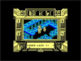 In game image of Prodigy on the Amstrad CPC.