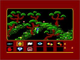In game image of Shogun on the Amstrad CPC.