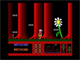In game image of Three Weeks in Paradise on the Amstrad CPC.