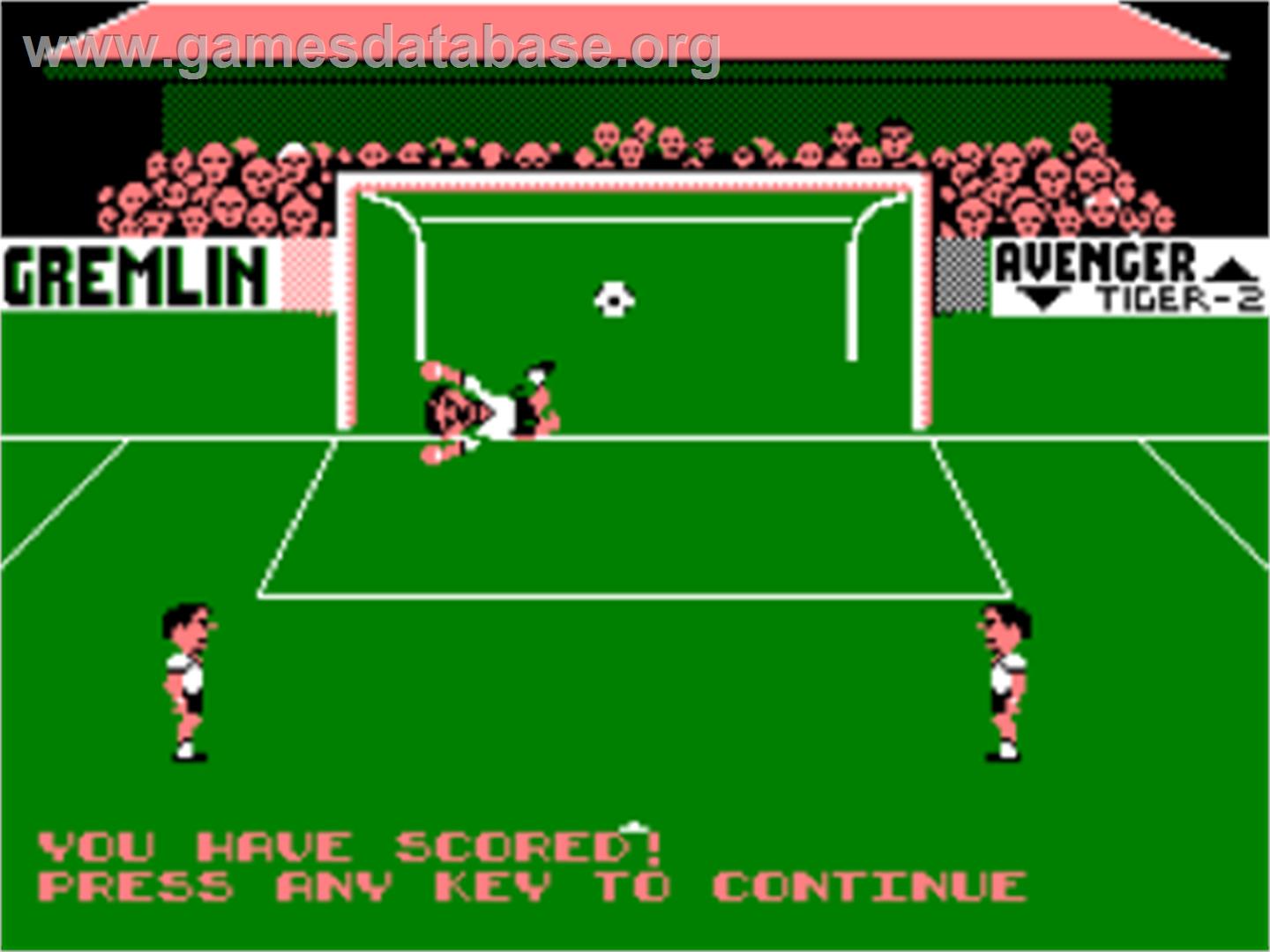 Footballer of the Year 2 - Amstrad CPC - Artwork - In Game