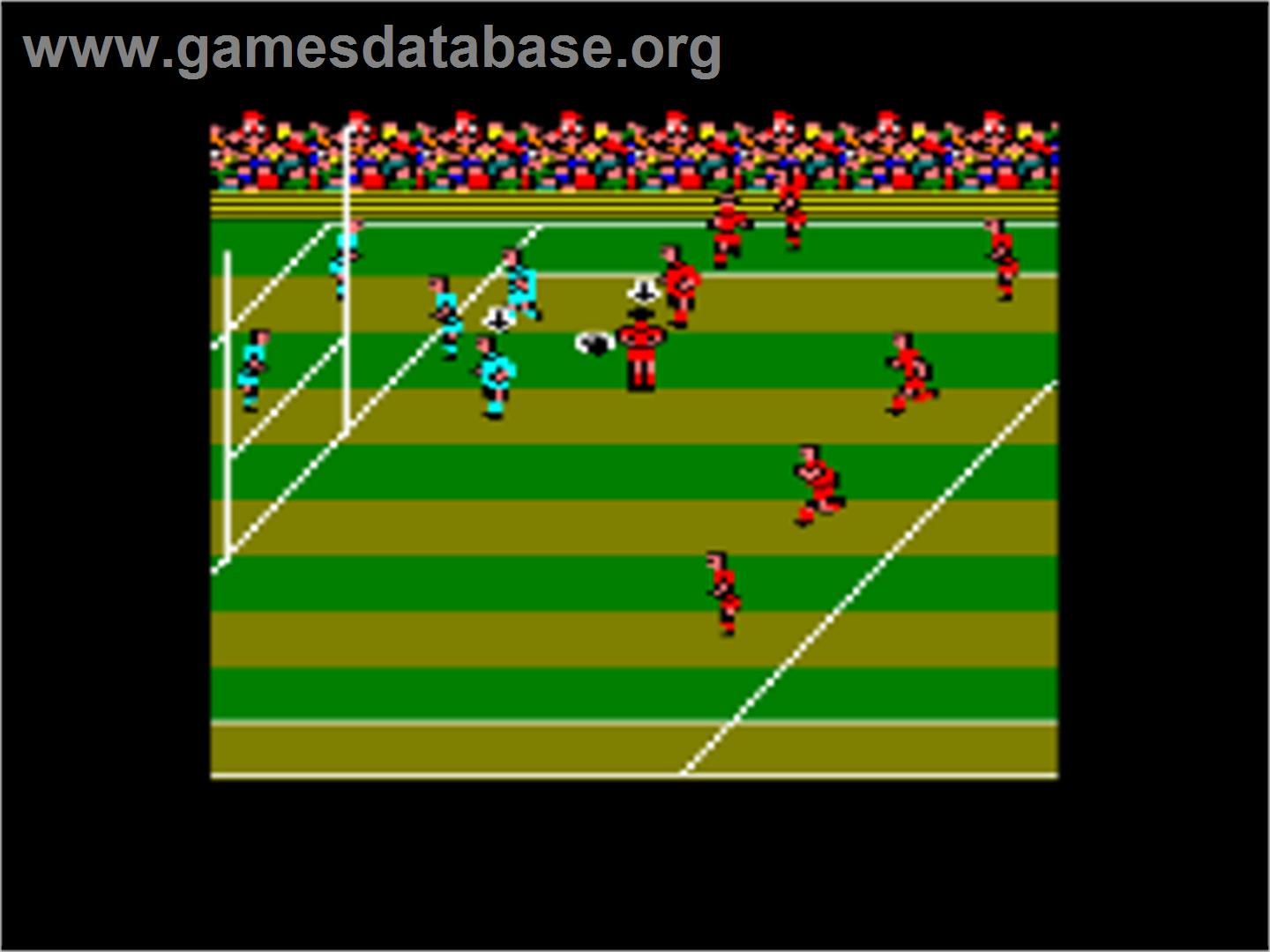 International Rugby Simulator - Amstrad CPC - Artwork - In Game