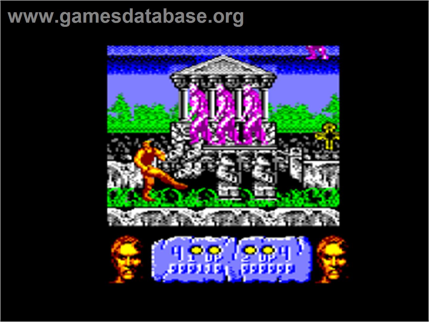 Plundered Hearts - Amstrad CPC - Artwork - In Game