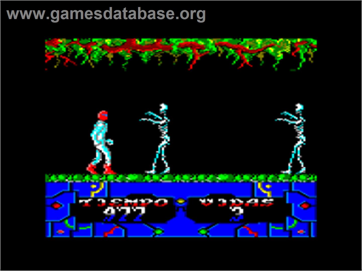 Sgrizam - Amstrad CPC - Artwork - In Game