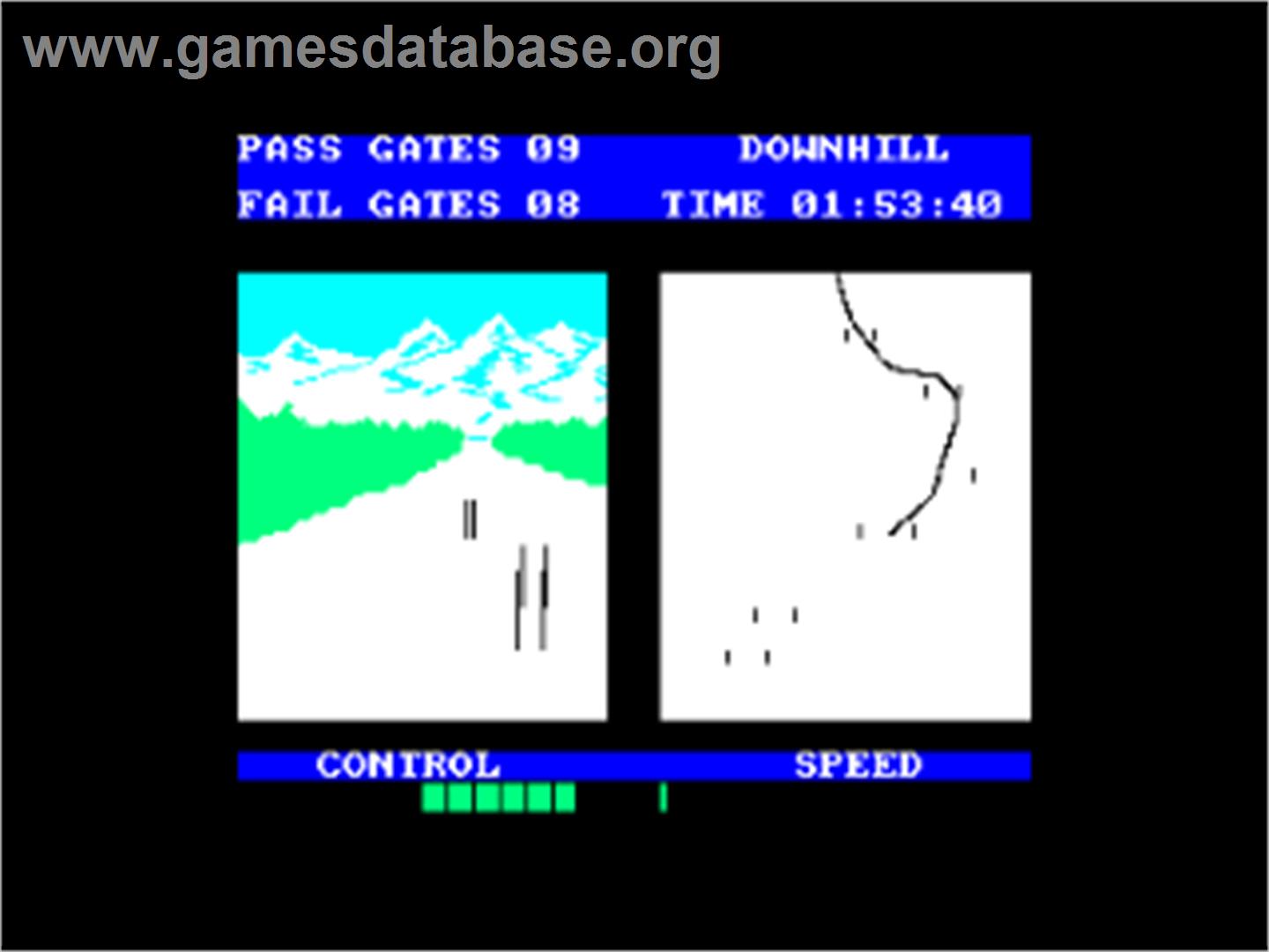 Winter Sports - Amstrad CPC - Artwork - In Game