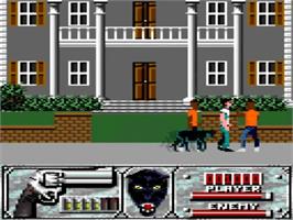 In game image of Wild Streets on the Amstrad GX4000.
