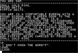 In game image of Fellowship of the Ring on the Apple II.