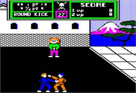 In game image of Karate Champ on the Apple II.