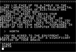 In game image of Mindwheel on the Apple II.