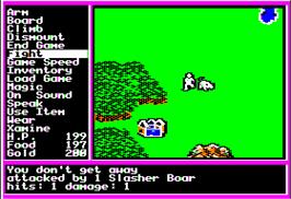 In game image of Questron 2 on the Apple II.