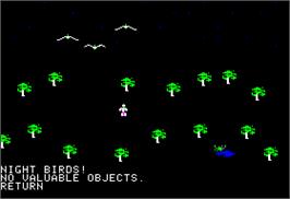 In game image of Rings of Zilfin on the Apple II.