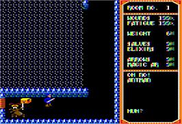 In game image of Temple of Apshai Trilogy on the Apple II.