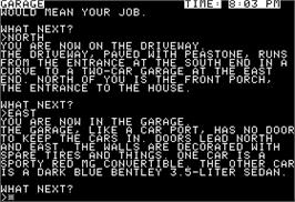 In game image of Witness on the Apple II.