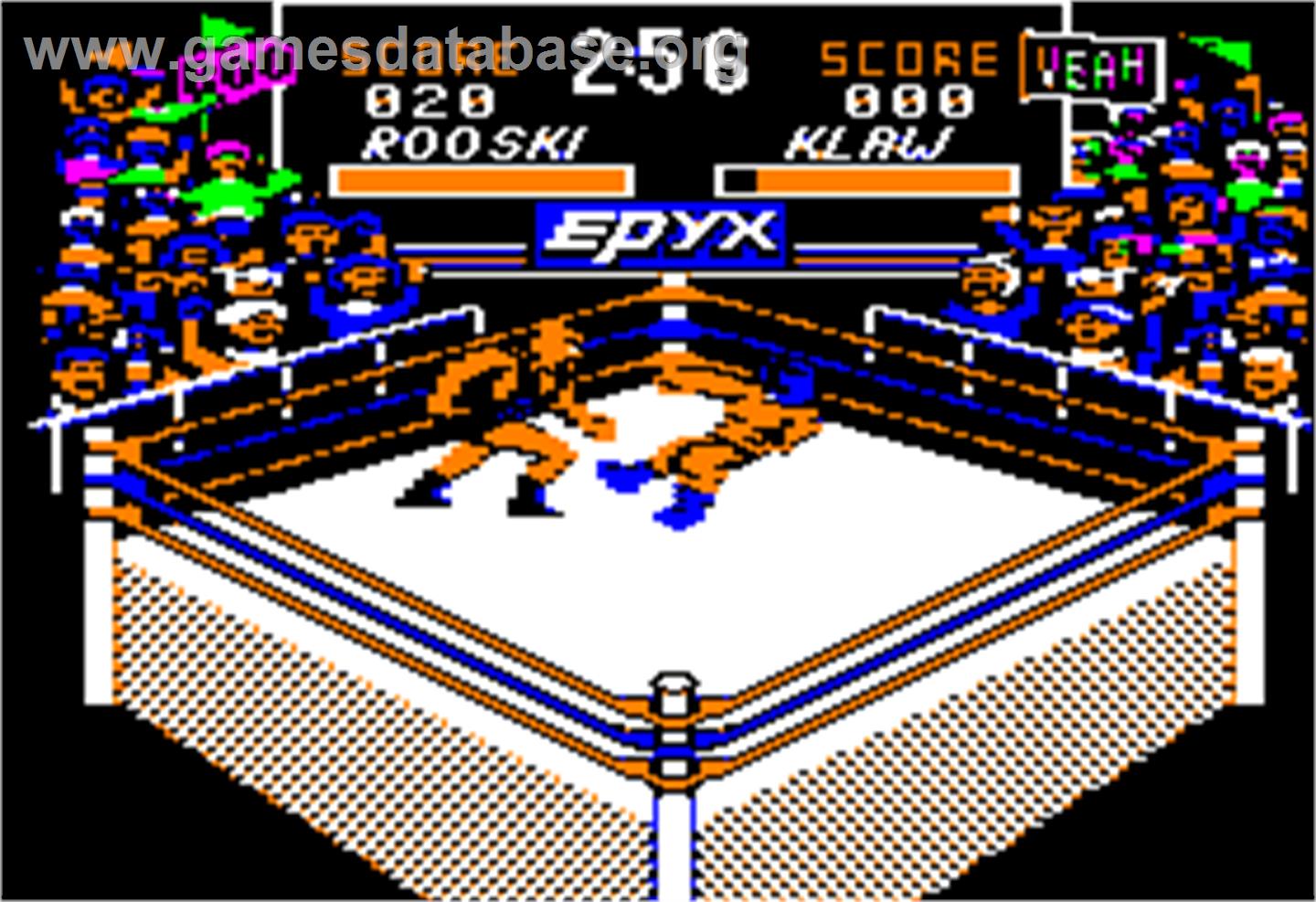 Championship Wrestling - Apple II - Artwork - In Game