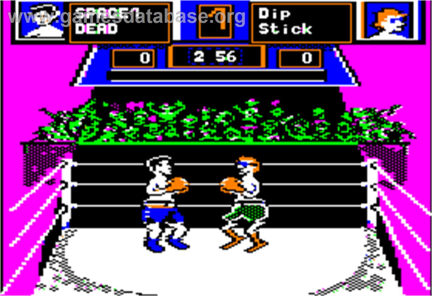 Fight Night - Apple II - Artwork - In Game
