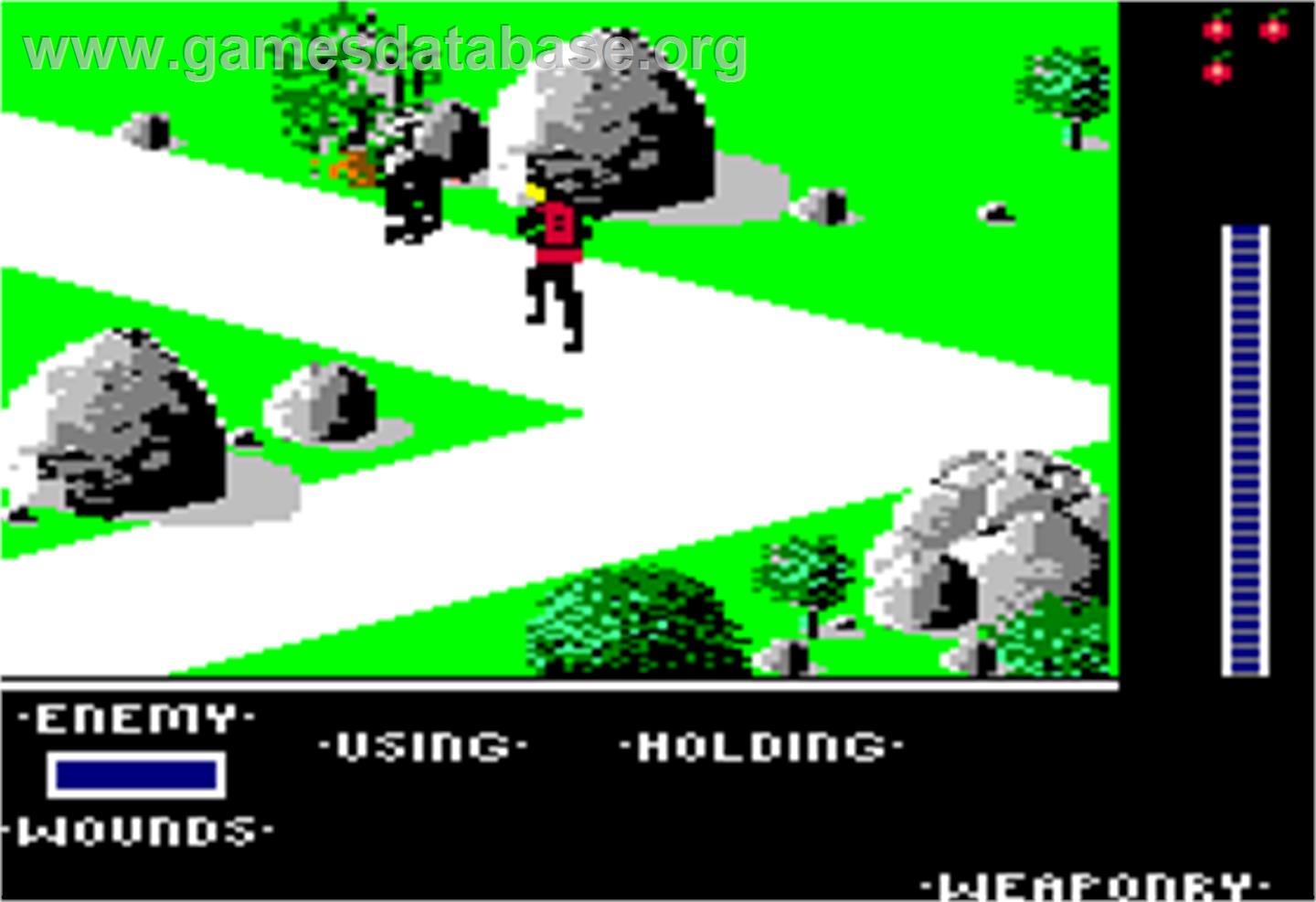 Last Ninja - Apple II - Artwork - In Game