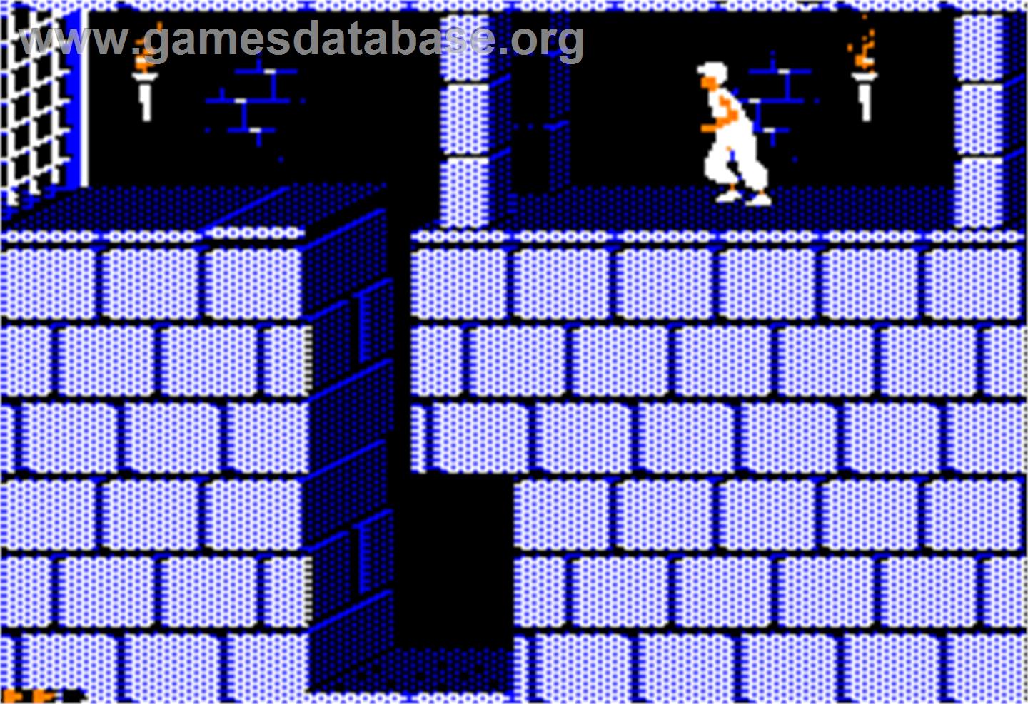 Prince of Persia - Apple II - Artwork - In Game