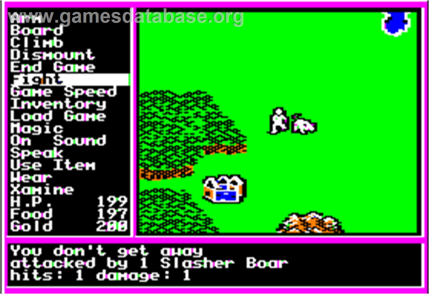 Questron 2 - Apple II - Artwork - In Game