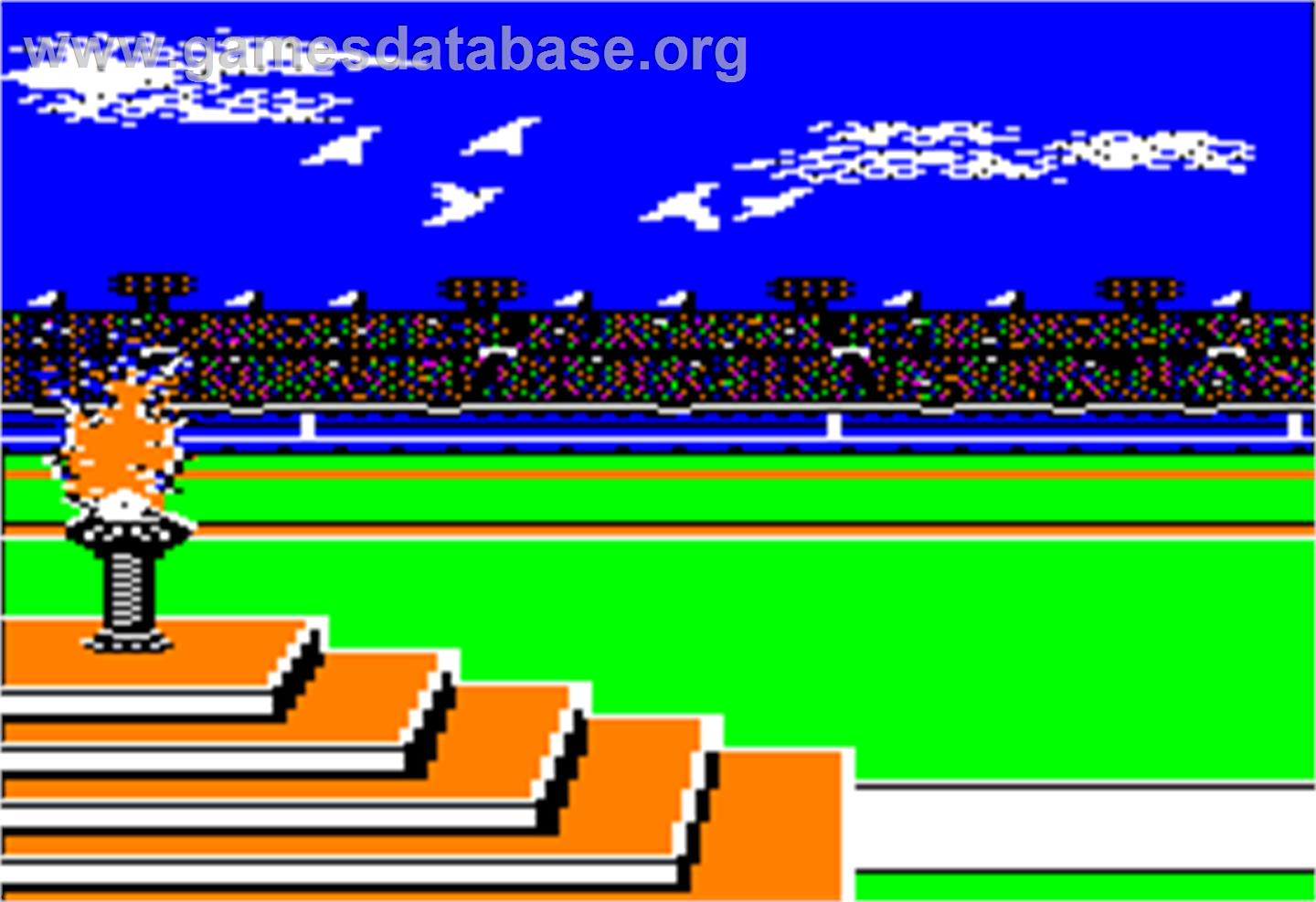 Summer Games 2 - Apple II - Artwork - In Game