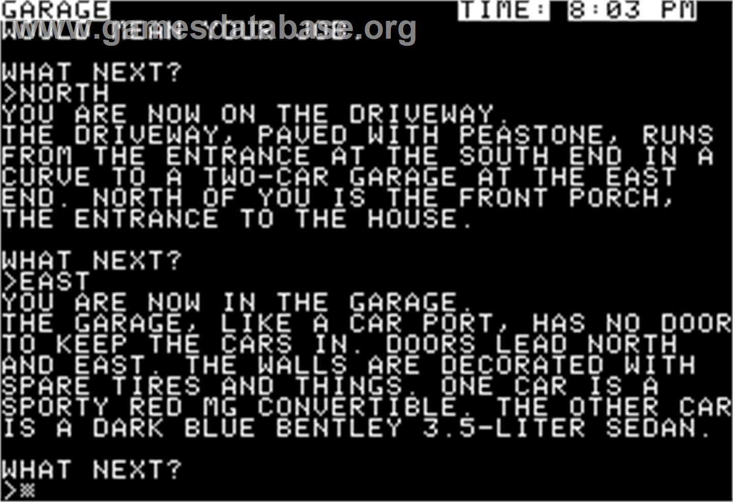 Witness - Apple II - Artwork - In Game