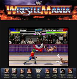 Artwork for WWF: Wrestlemania.