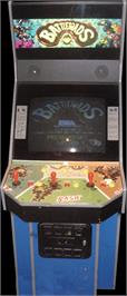 Arcade Cabinet for Battle Toads.