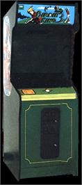 Arcade Cabinet for Birdie King 3.