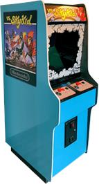 Arcade Cabinet for Sky Kid.