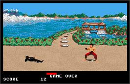 Game Over Screen for Ninja Mission.