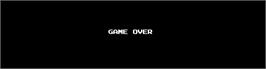 Game Over Screen for The Ninja Warriors.
