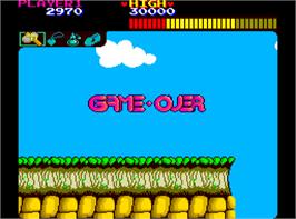 Game Over Screen for Wonder Boy.