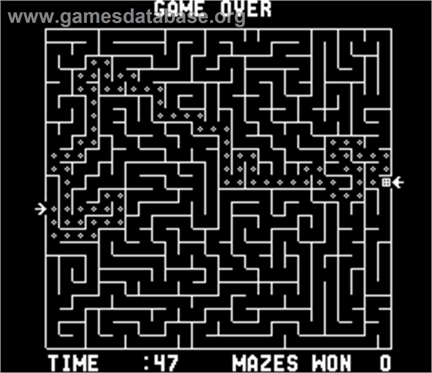 Amazing Maze - Arcade - Artwork - Game Over Screen