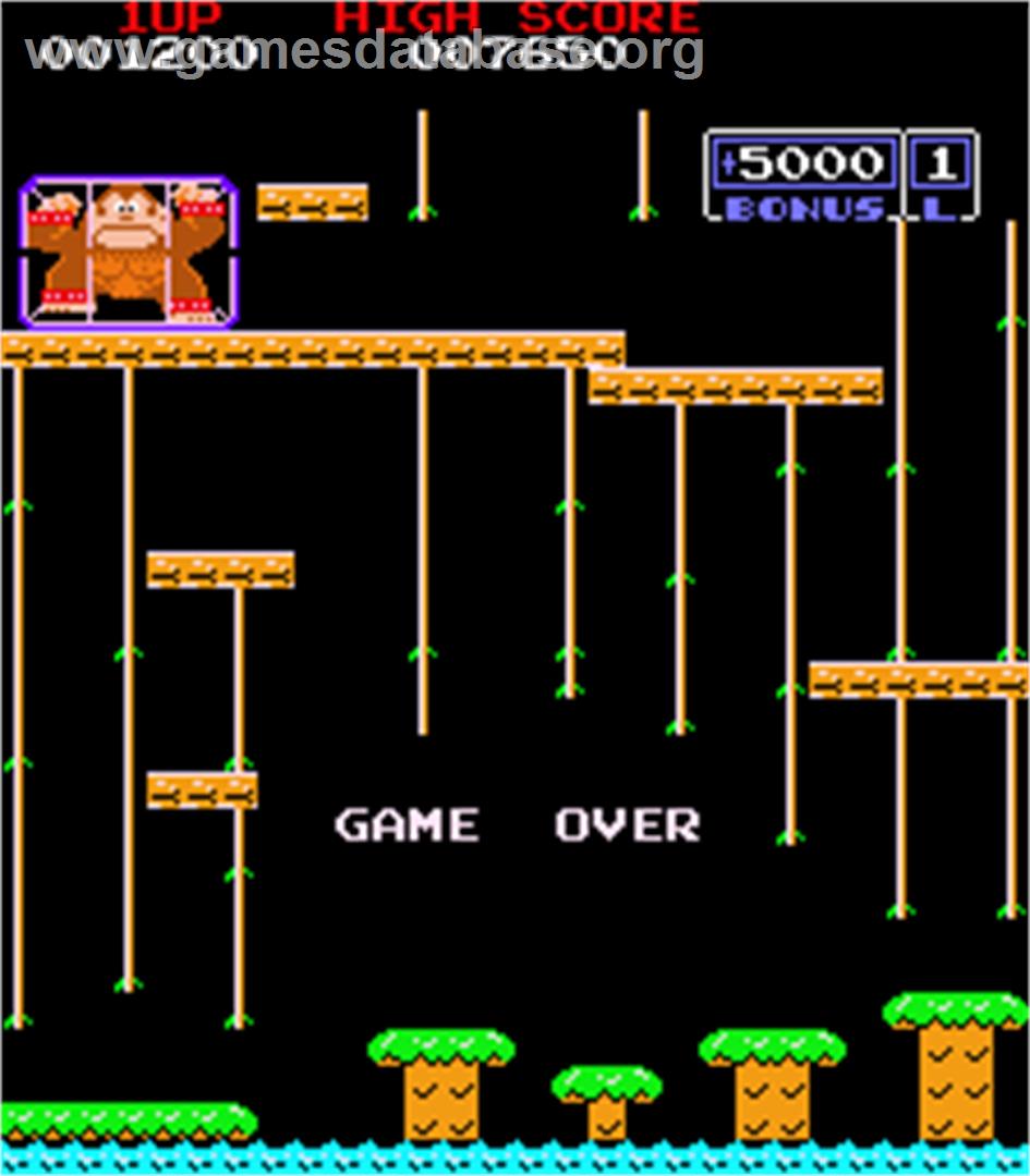 Donkey Kong 3 - Arcade - Artwork - Game Over Screen