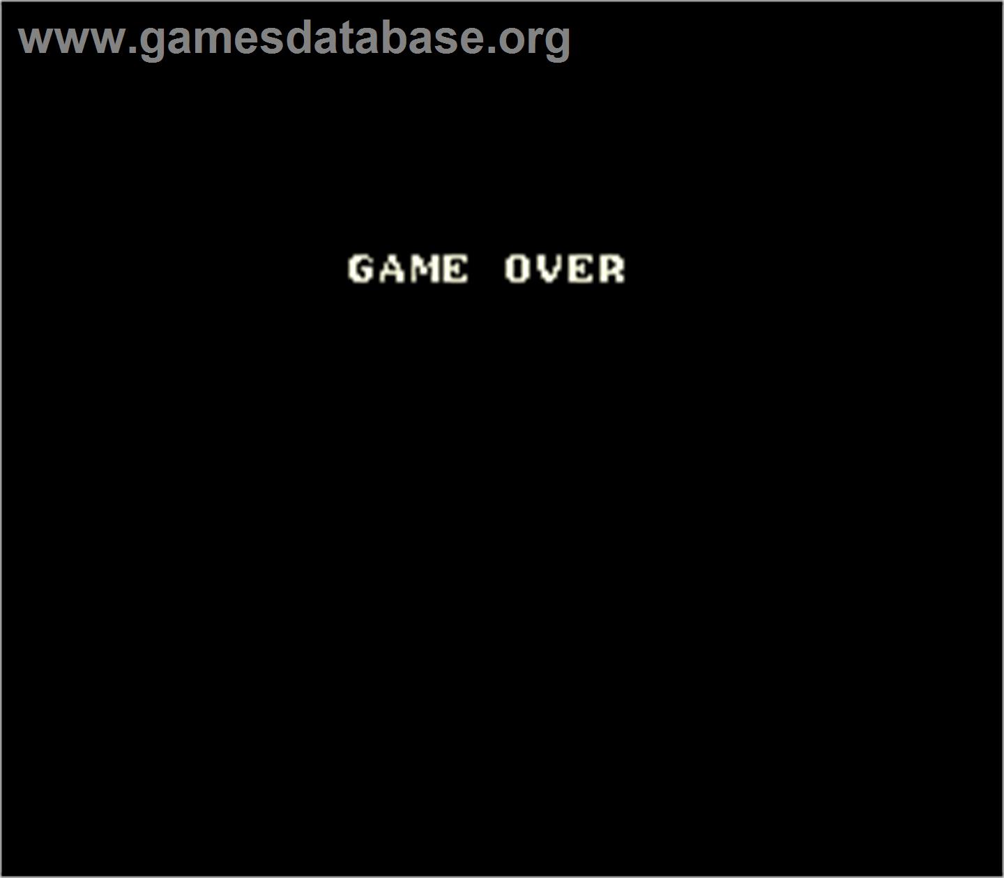 Great Swordsman - Arcade - Artwork - Game Over Screen