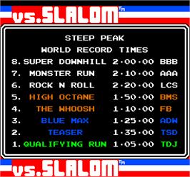 High Score Screen for Vs. Slalom.
