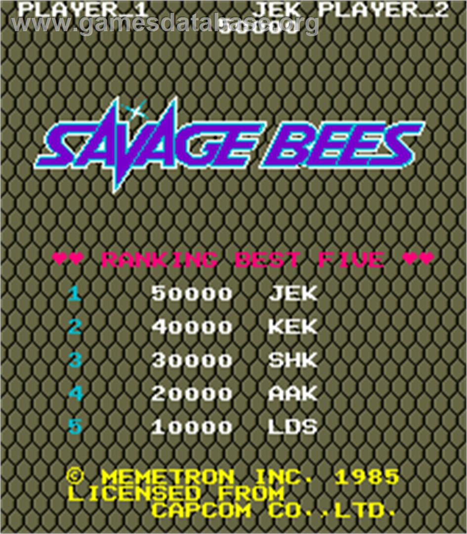 Savage Bees - Arcade - Artwork - High Score Screen