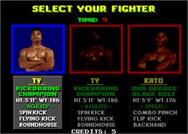 Select Screen for Pit Fighter.