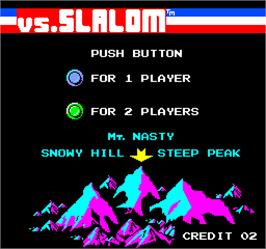 Select Screen for Vs. Slalom.