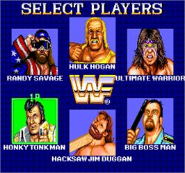 Select Screen for WWF Superstars.