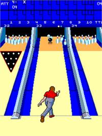 In game image of Alley Master on the Arcade.