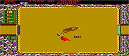 In game image of Bullfight on the Arcade.