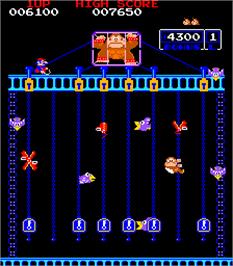 In game image of Donkey Kong Junior on the Arcade.