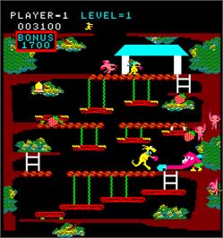 In game image of Kangaroo on the Arcade.