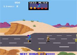In game image of Road Runner on the Arcade.